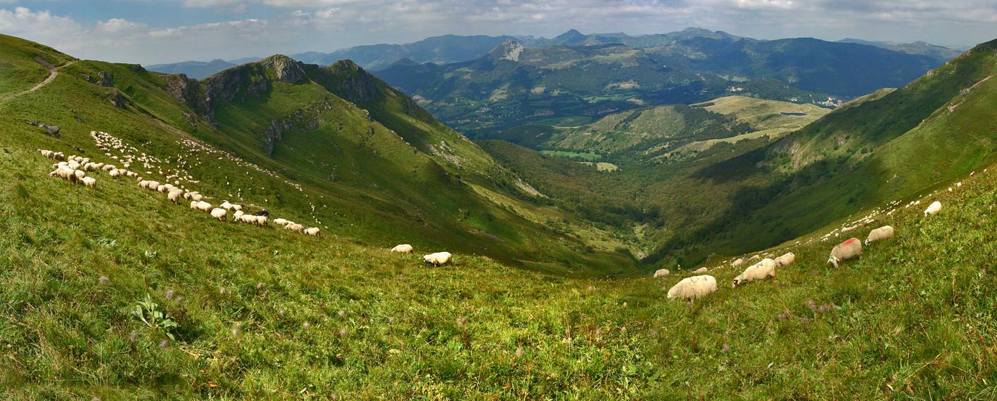 L'Arpon du diable, en dessous du Plomb du Cantal ©Frédéric Lécuyer
