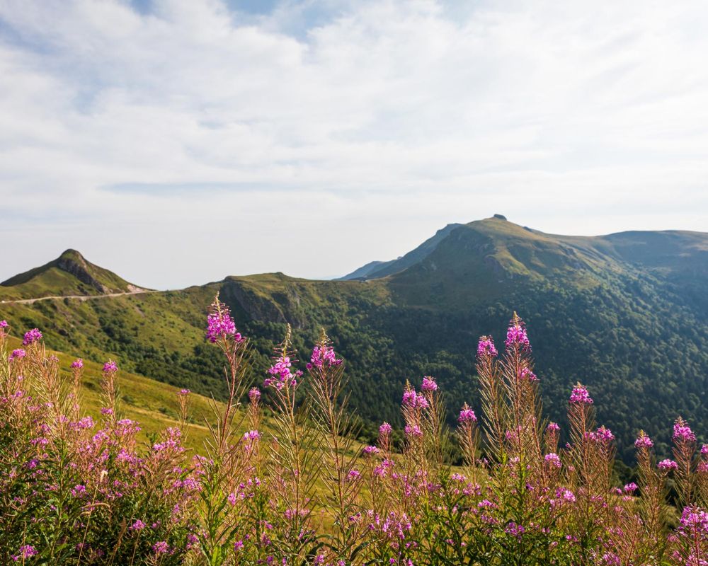 Puy Mary - Cantal ©puydimages
